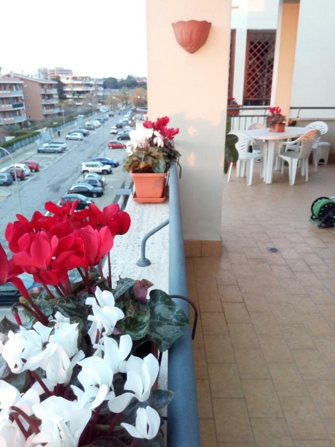 Mezzocammino Short Rent - Ciu5125 Appartamento Roma